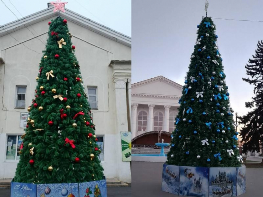 Елочки в разных нарядах: глава Цимлянского района поделилась фотографиями новогодних красавиц