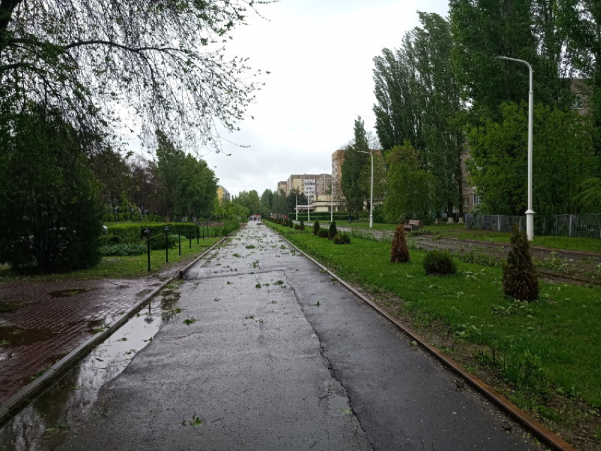 С небольшого дождя начнется новая рабочая неделя в Волгодонске