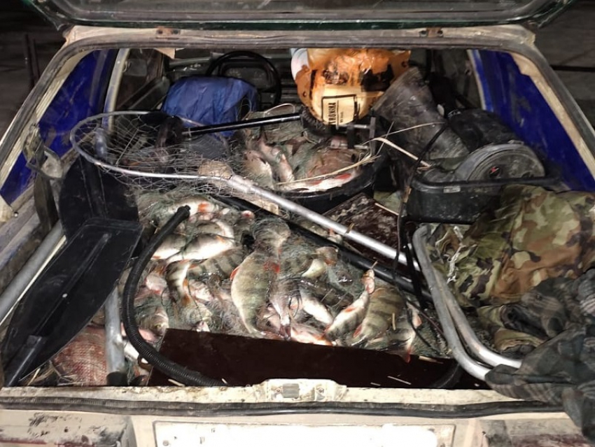 Инспекторы ГИБДД по запаху рыбы распознали браконьера под Волгодонском