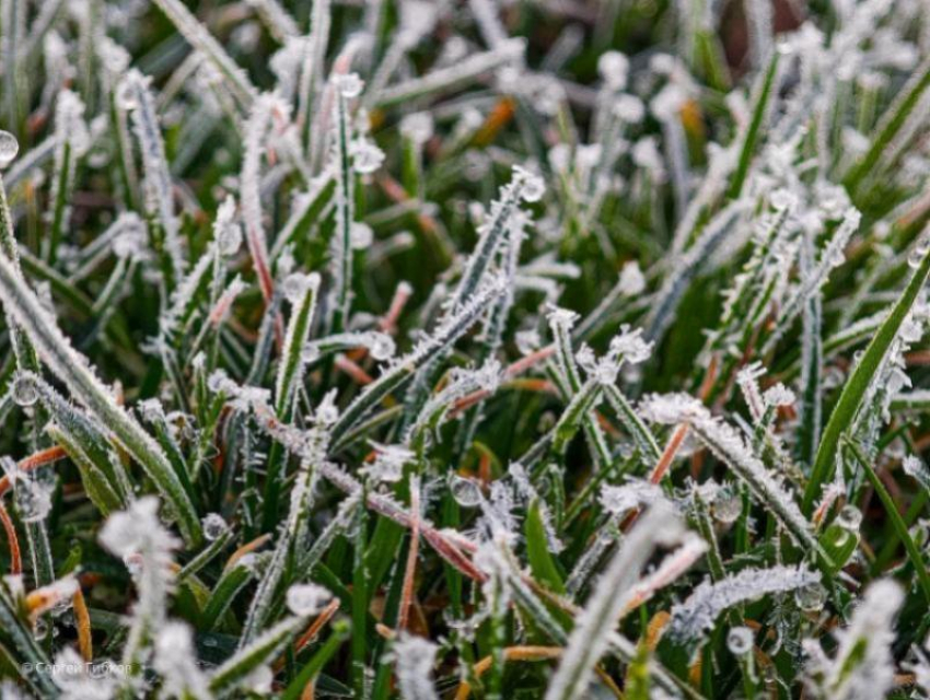 Гнусные заморозки ожидаются на майские праздники в Волгодонске 