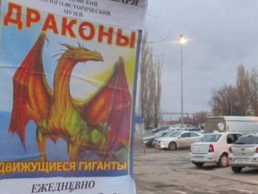 Расплодившиеся на деревьях Волгодонска «драконы» заставили попотеть муниципальную инспекцию 