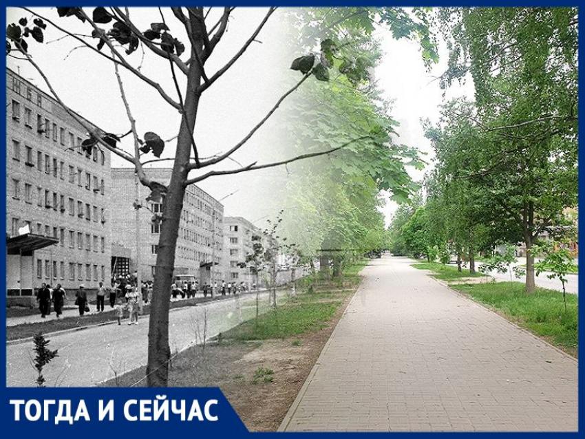 Волгодонск тогда и сейчас: улица 50 лет СССР 45 лет назад