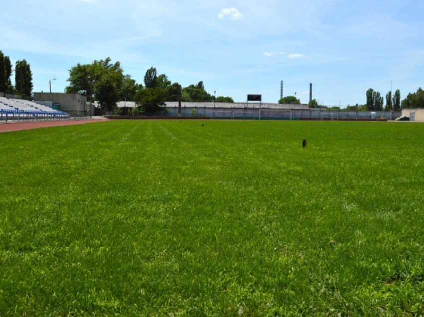 На стадионе «Труд» вырос новый зеленый газон