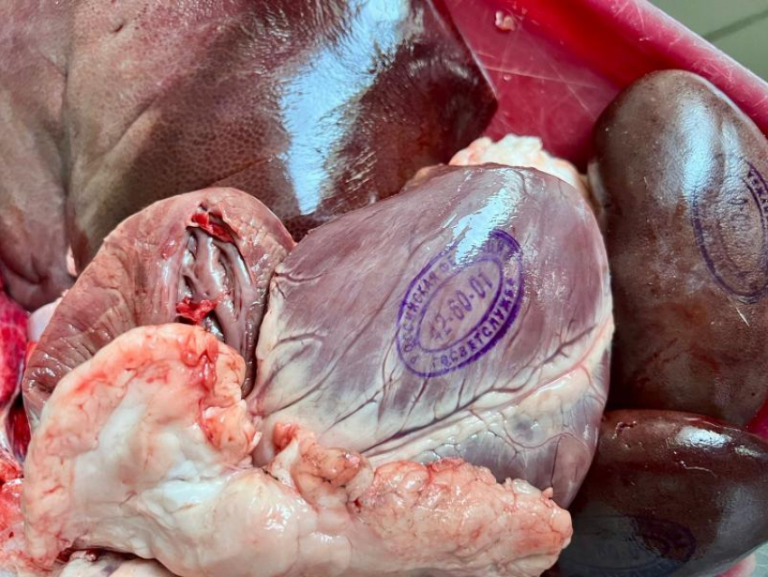 «Знак качества или секретный шифр»: что значит «тату» на куске мяса?