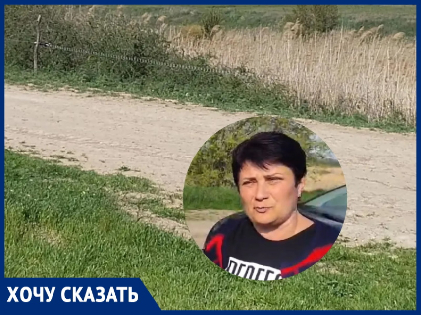 «Скотовод взял нас в электроплен!»: крик души жителей хутора Ильинова, который теперь охраняет электропастух