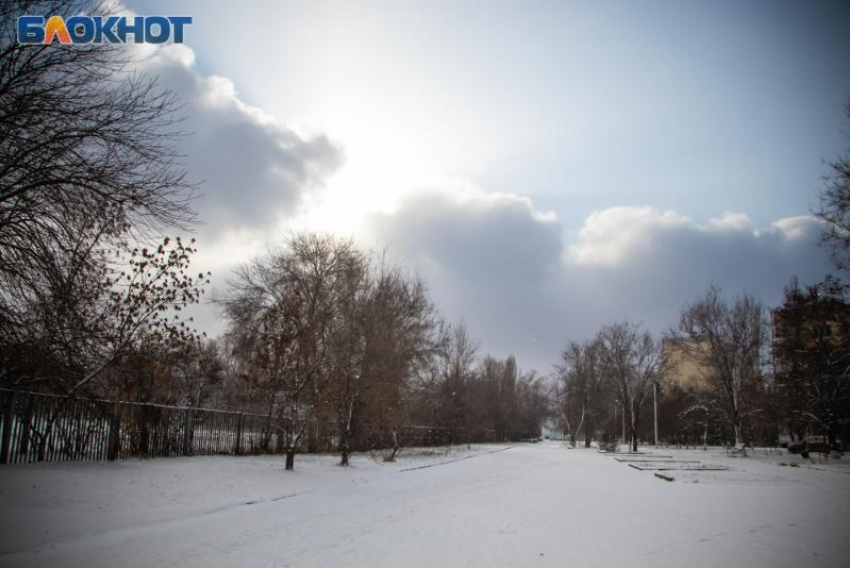 Мороз, снег и туман: последняя неделя года начнется в Волгодонске по-зимнему