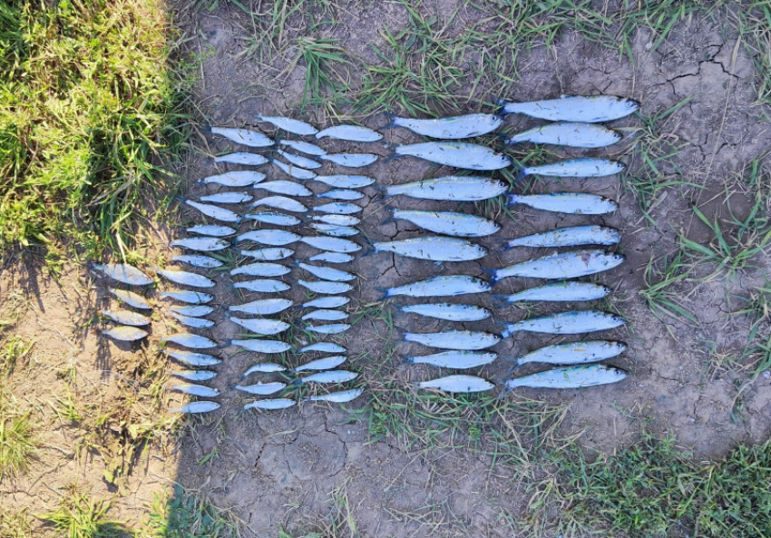 Двое браконьеров нанесли ущерб более 113 тысяч рублей на Цимлянском водохранилище
