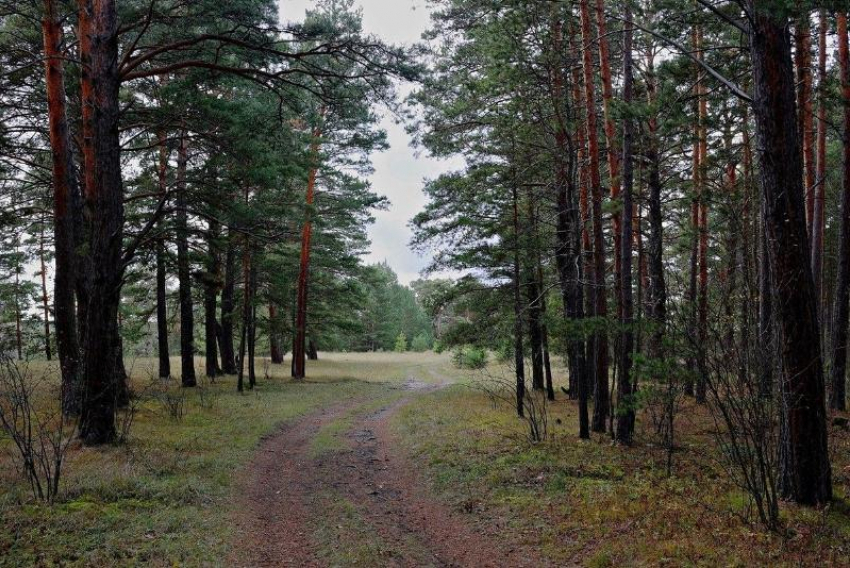 С 6 апреля в Волгодонске начнется пожароопасный сезон