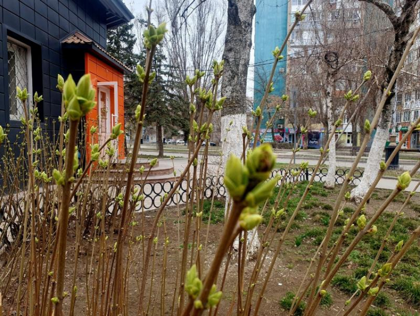 Переменная облачность и отсутствие ветра ждут волгодонцев сегодня