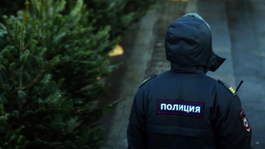 Драки, разбой и кражи стали основными преступлениями в новогодние праздники в Волгодонске