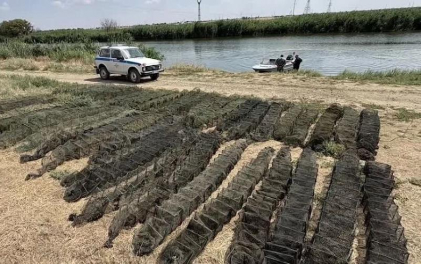 Две тысячи незаконно выловленных раков вернули в водоемы: итоги операции полиции и рыбохраны