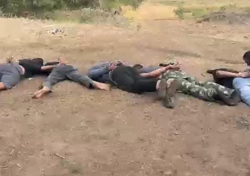 Пришлось задействовать Росгвардию: была задержана банда цыган-скотокрадов