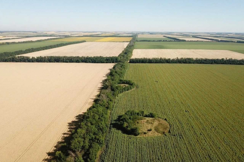 Могилы кочевых царей в Волгодонском районе признали памятником федерального значения 