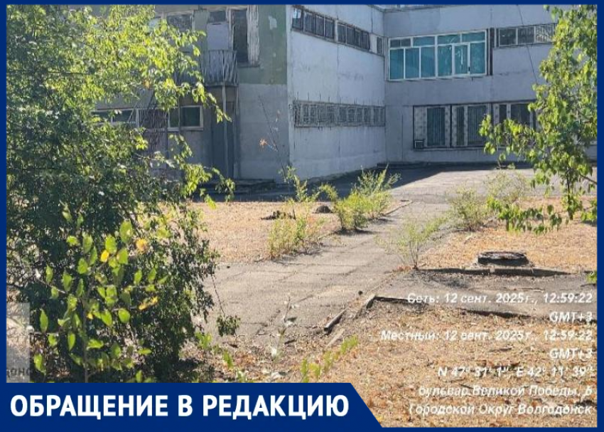 Шприцы и бульбуляторы покрывают «Юнону»: как легендарная гимназия Волгодонска превратилась в притон для наркоманов