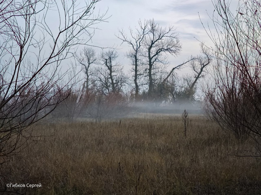 Облачно, но осадков нет: о погоде в Волгодонске в четверг