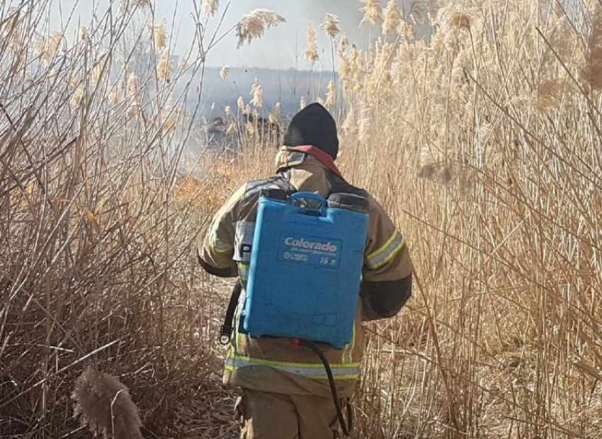 С 1 мая в Волгодонске будет установлен особый противопожарный режим