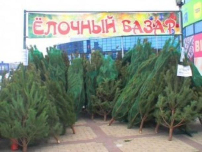 К новому году в Волгодонске планируют разместить около 27 площадок для продажи праздничной атрибутики