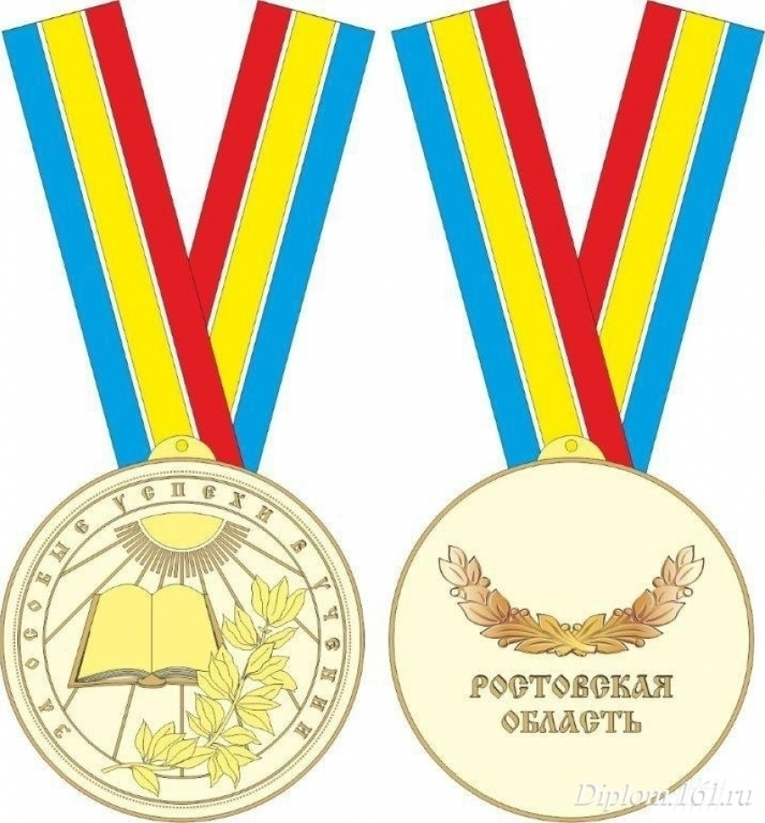 В Волгодонске из 40 претендентов на медаль семеро учатся в лицее №16