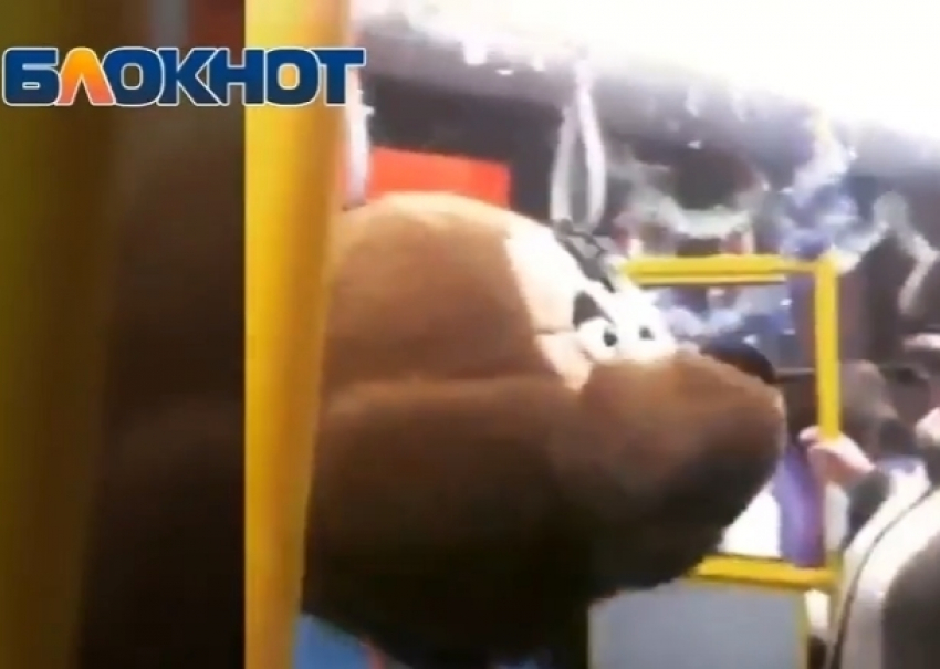 Танцующий медведь и поющий снеговик в волгодонском автобусе попали на видео