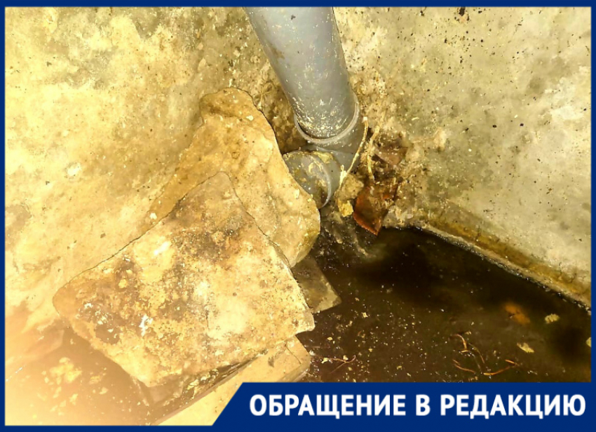 «Ноу-хау» от ЖРЭУ-5: канализационную трубу в подвале загерметизировали булыжниками