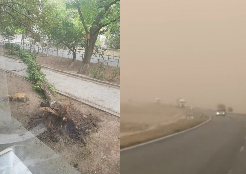 «Поваленные деревья, вырванные оконные рамы и плохая видимость на дорогах»: как Волгодонск переживает пыльную бурю 