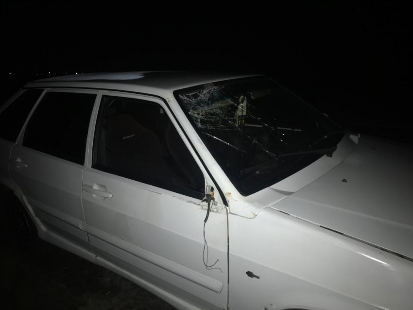 Пожилого мужчину насмерть сбил водитель ВАЗ-2114 на трассе Волгодонск-Зимовники