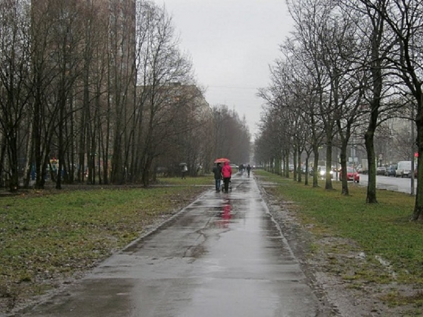 Пасмурная и немного дождливая погода ждет волгодонцев сегодня