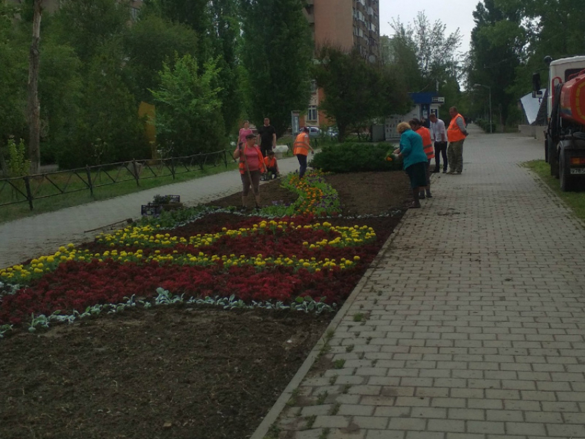 В Волгодонске активно ведутся работы по преображению города ко Дню Победы