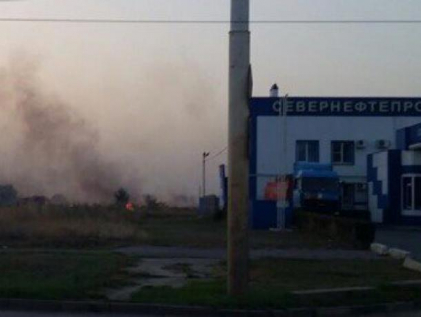 Пылающий пустырь у заправки на улице Ленинградской в Волгодонске попал на видео