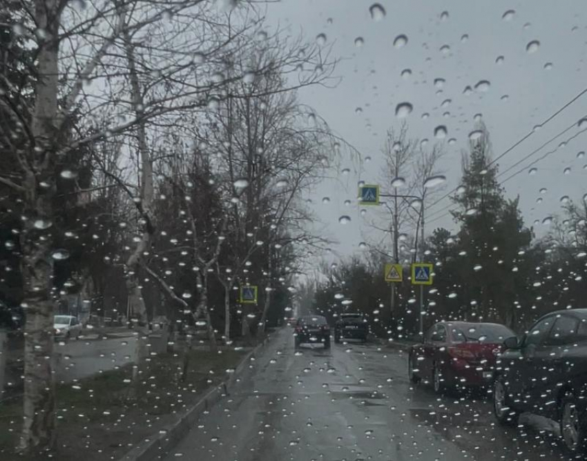 Осторожно, скользкая дорога: водителей призывают быть внимательными на дорогах в дождь