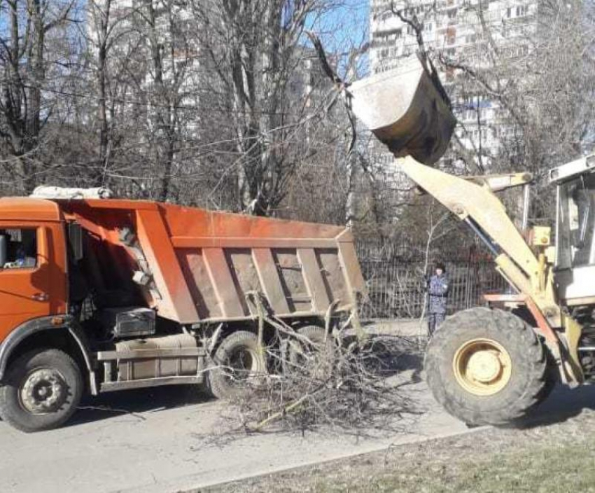 Рабочих рук не хватает: власти Волгодонска призывают горожан помочь в уборке территорий от сломанных веток