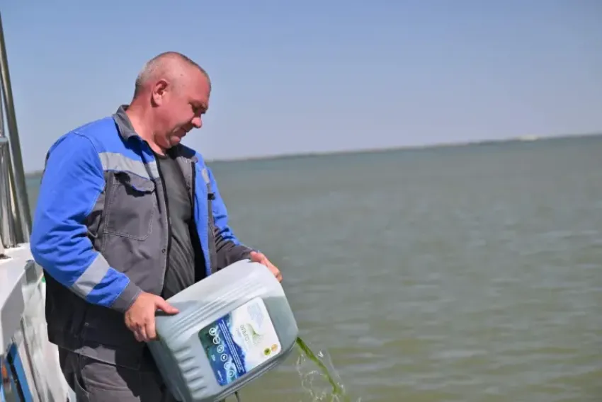 Более трех тонн водорослей для прожорливых рыб-камышеедов выпустили в пруд-охладитель Ростовской АЭС