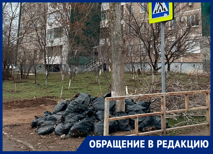 Забытые со времен субботника мешки с листьями до сих пор лежат у школы №22