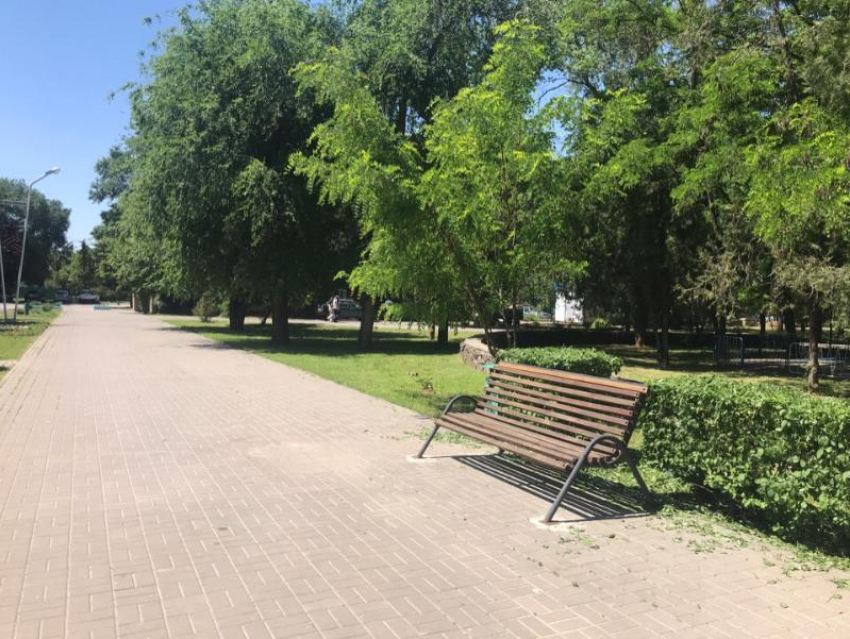 С жаркой и безоблачной погоды начнется новая рабочая неделя в Волгодонске 