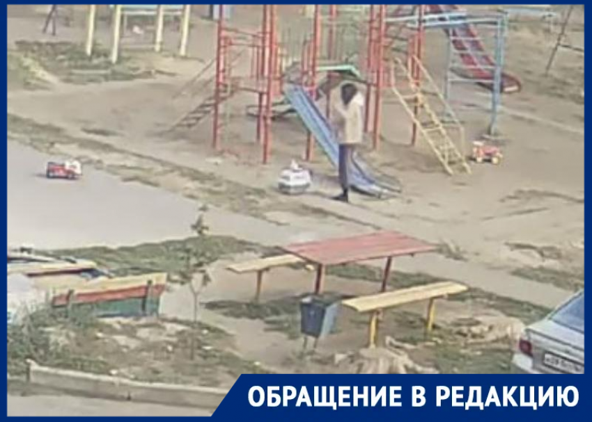 Бездомные кошки оккупировали детскую площадку в Волгодонске: жители боятся за своих детей