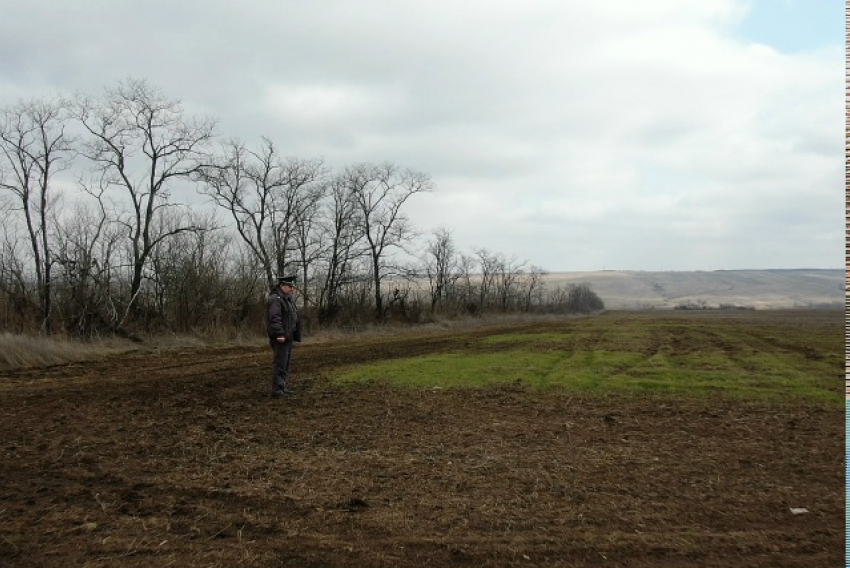 Свалку на 3,6 гектара убрали в Волгодонском районе после предостережения Россельхознадзора