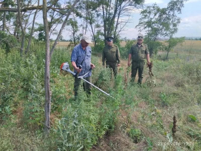 «Конопле – бой!»: полицейские вместе с казаками уничтожили  очаг дикорастущей «дури»