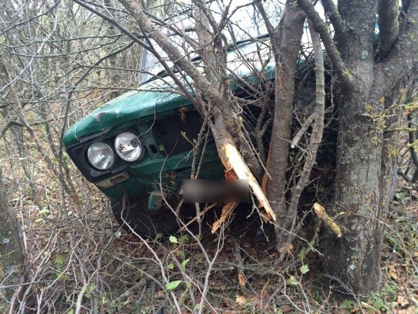 Пьяный водитель врезался в дерево в Цимлянском районе