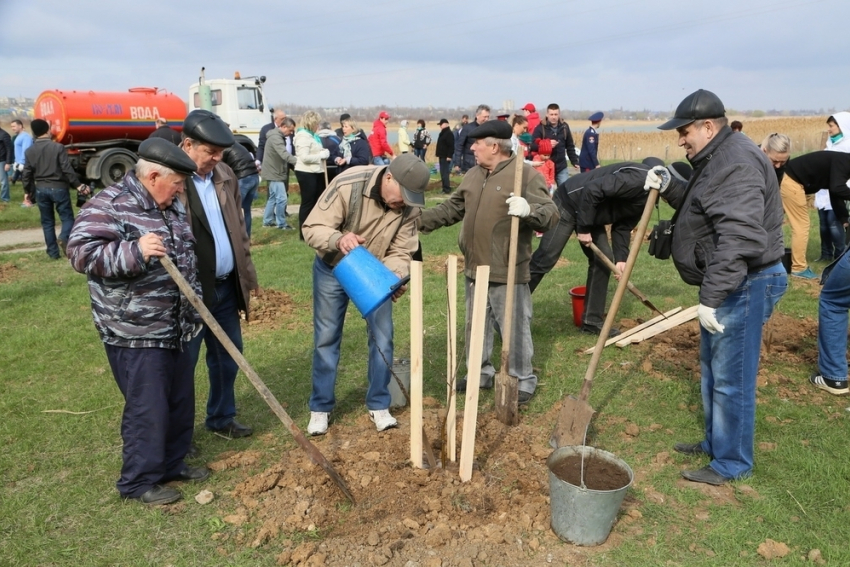 Деревьями и кустарниками засадят скверы Экологов и Платова в Волгодонске