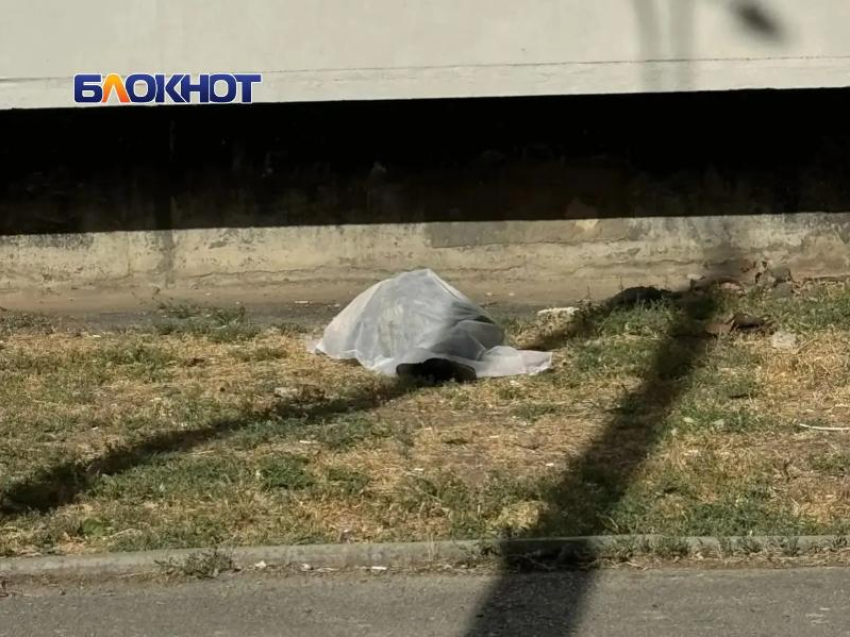 Волгодонец погиб при падении с высоты на улице Пионерской
