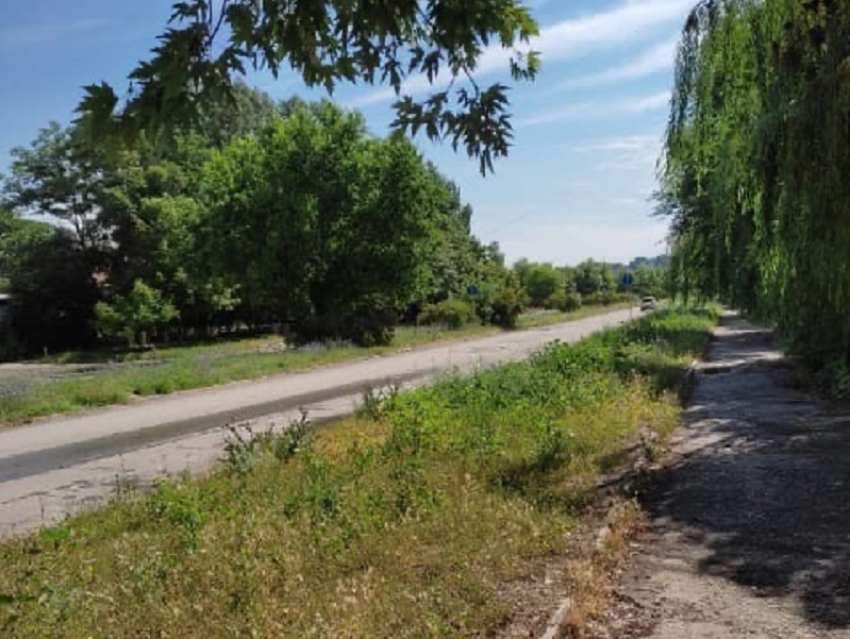 Власти Волгодонска назвали того, кто будет косить траву в городе