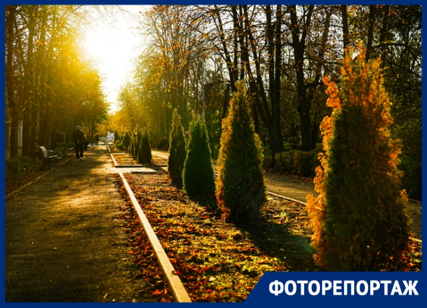Время словно замирает: как выглядит окутанный в янтарные краски Волгодонск осенью