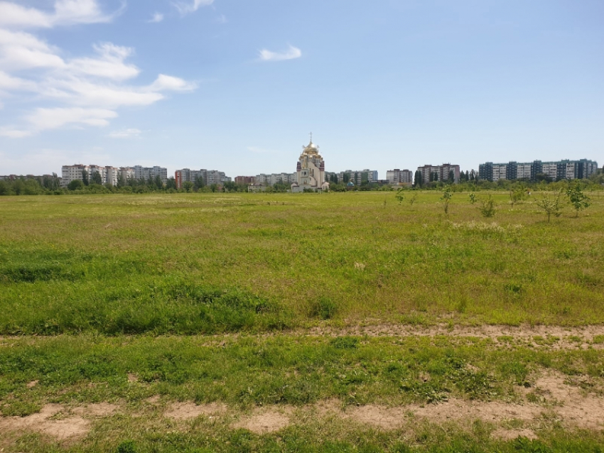 До +30 градусов обещают синоптики в Волгодонске сегодня