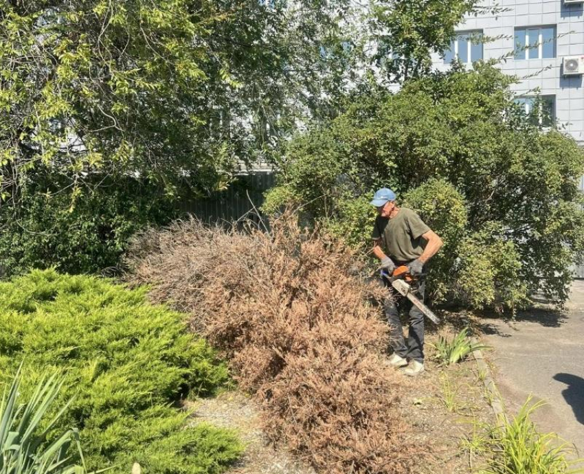 К завершению ремонта Поликлиники № 3 коммунальщики начали облагораживать территорию