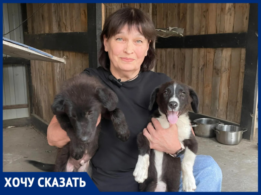 «Бороться нужно с бездомностью, а не с собаками: почему проблема бродячих животных - вина человека», - зооволонтер Лариса Семина 