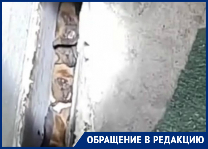 Летучие мыши заполонили балкон на проспекте Мира в Волгодонске 