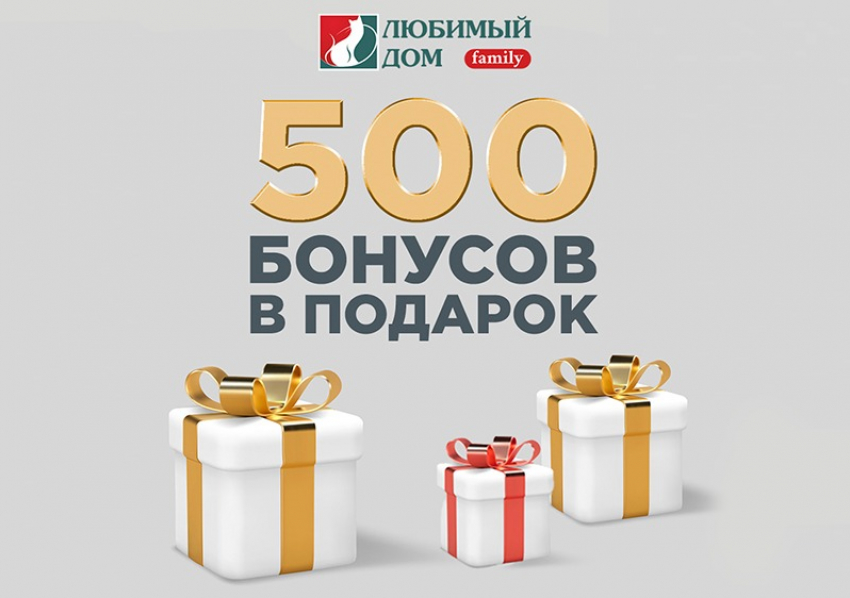 500 бонусов дарит* волгодонцам «Любимый Дом family**» в честь Дня народного единства 