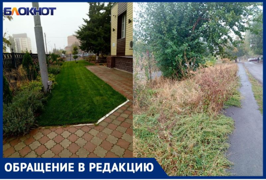 «Две разные реальности - лужайка атомной и города»: возмущенная жительница ищет тех, кто должен убирать заросшую территорию 