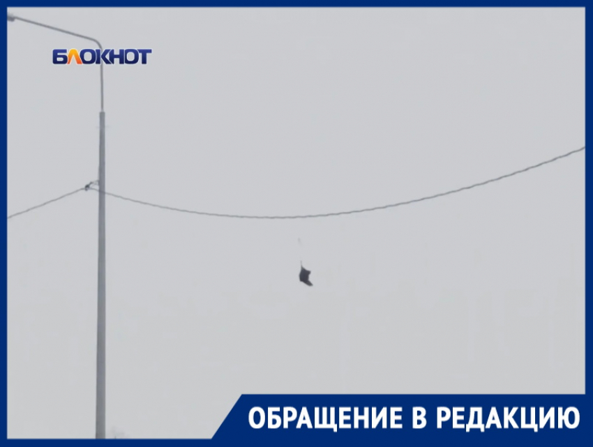 «Птица высокого полета или Золушка потеряла туфельку?»: неизвестный предмет на линии электропередач будоражит фантазию волгодонцев