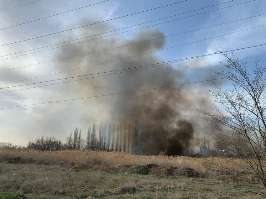 Сухой камыш загорелся в Волгодонске напротив «Атоммаша»